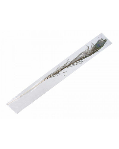 Pene decorative păun, lungime 70-110 cm | Mimib