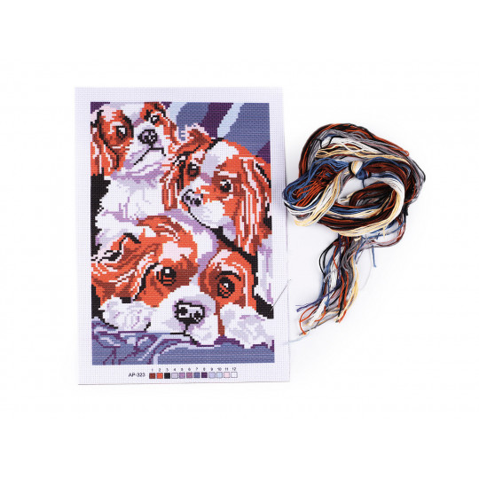 Set de broderie - model, ac, mouline | Mimib