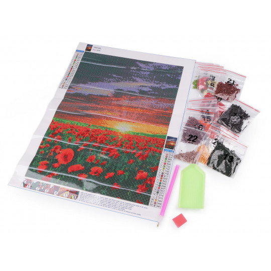 Pictura cu diamante, set creativ 30x40 cm | Mimib