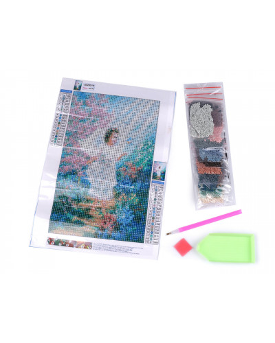 Pictura cu diamante, set creativ  20x30 cm | Mimib