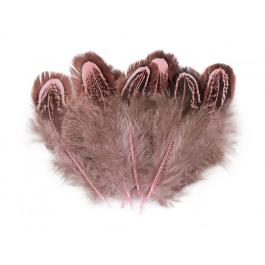 Pene de fazan lungime 5-7 cm | Mimib