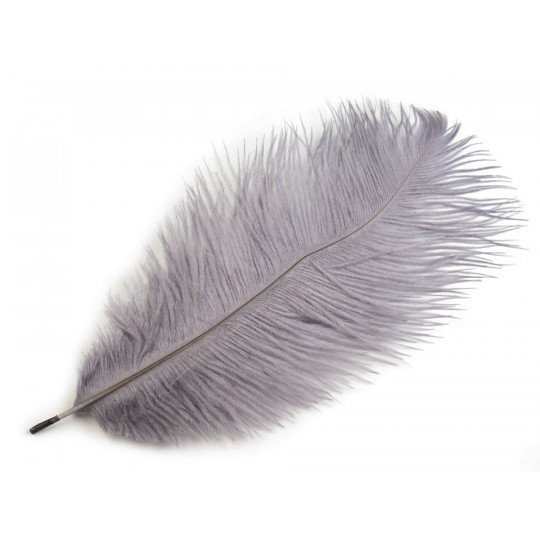 Pene decorative struț, lungime  cca. 20-25 cm | Mimib