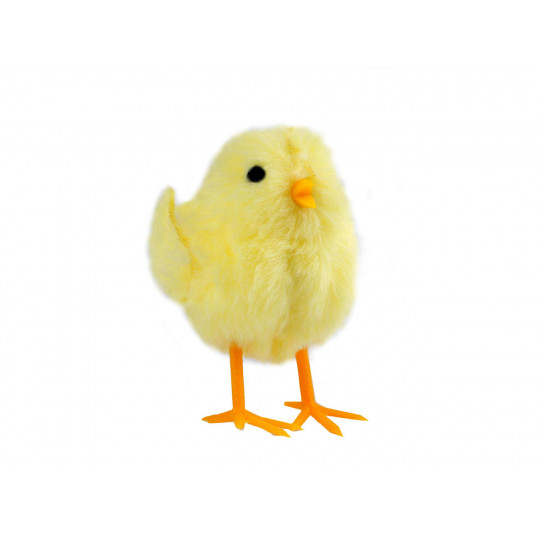 Decoratiune pui de Paște | Mimib