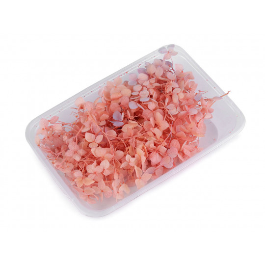 Hortensii uscate/stabilizate pentru aranjamente florale | Mimib