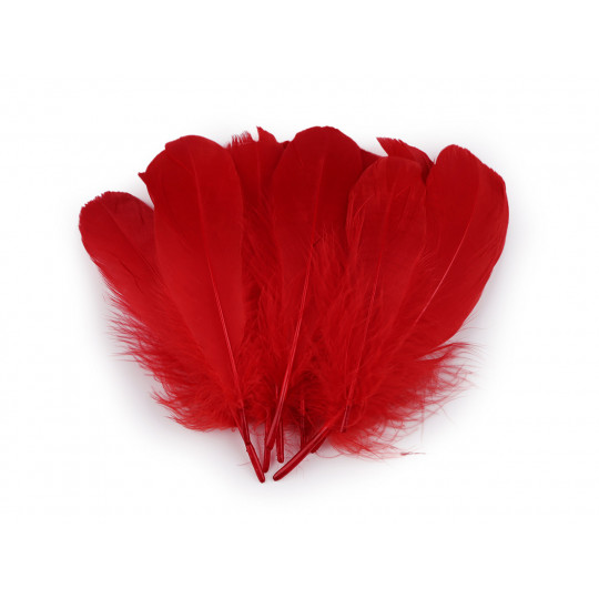 Pene de gâscă 14-18 cm - 10 buc. | Mimib