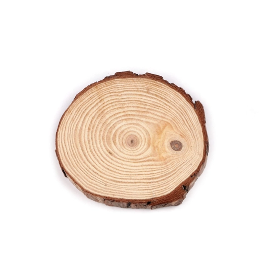 Prírodné drevené koliesko / podložka na domaľovanie a dotvorenie Ø16 cm - 1 ks | Mimib