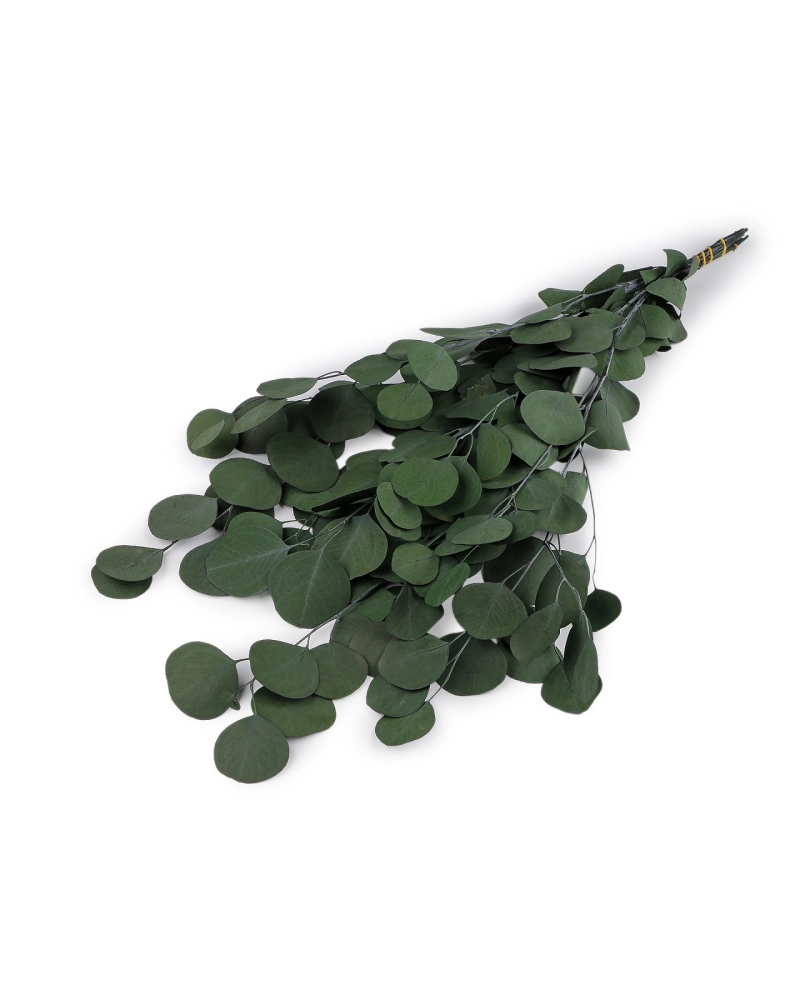 Stabilizovaný eukalyptus zväzok - 1 zväzok | Mimib
