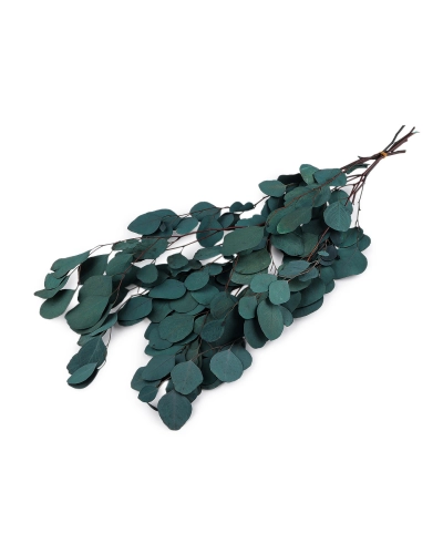 Stabilizovaný eukalyptus zväzok - 1 zväzok | Mimib