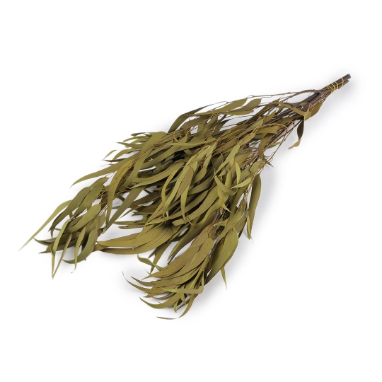 Stabilizovaný eukalyptus zväzok - 1 zväzok | Mimib