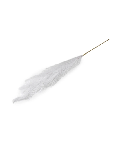 Pampová tráva - 1 ks | Mimib