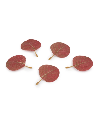 Umelý list eukalyptus na aranžovanie - 20 ks | Mimib