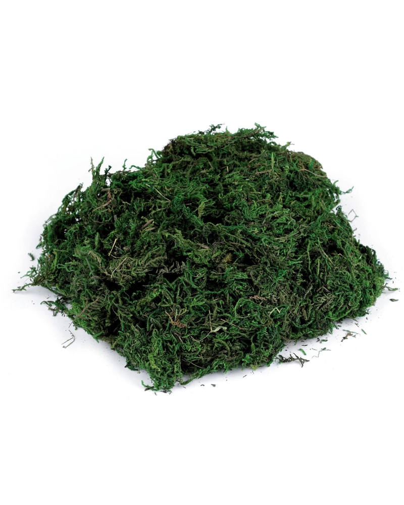 Dekoračný mach 50 g - 1 ks | Mimib