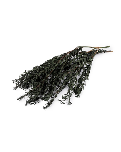 Umelý eukalyptus - 1 zväzok | Mimib