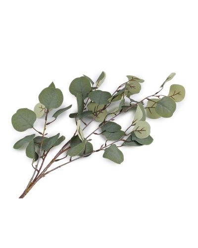 Umelý eukalyptus - 1 zväzok | Mimib