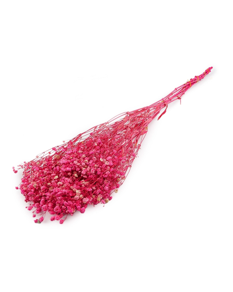 Stabilizovaný nevestin závoj zväzok - 1 zväzok | Mimib