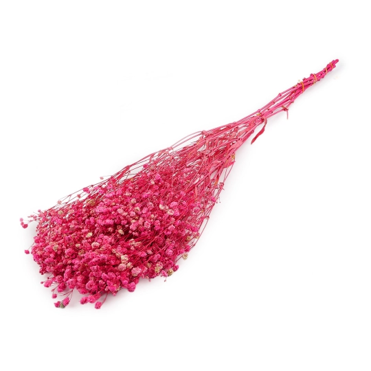 Stabilizovaný nevestin závoj zväzok - 1 zväzok | Mimib