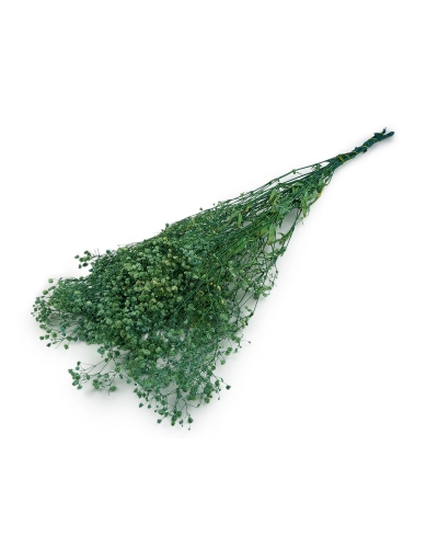 Stabilizovaný nevestin závoj zväzok - 1 zväzok | Mimib