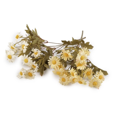 flori şi plante pentru aranjamente florale